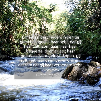 Picture 05 - Deuteronomium 21:14 NLD - En het zal geschieden, indien gij geen behagen in - Bible Verse Picture