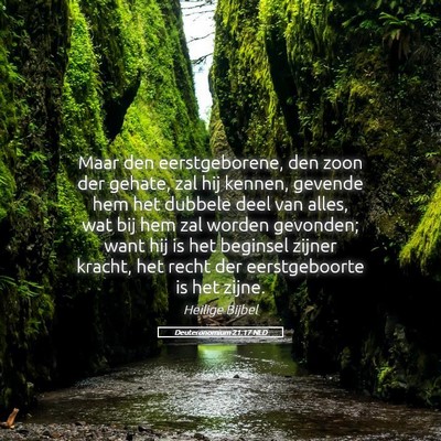 Picture 05 - Deuteronomium 21:17 NLD - Maar den eerstgeborene, den zoon der gehate, zal - Bible Verse Picture