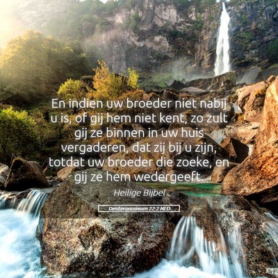 Picture 05 - Deuteronomium 22:2 NLD - En indien uw broeder niet nabij u is, of gij hem - Bible Verse Picture