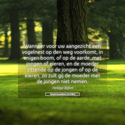 Picture 05 - Deuteronomium 22:6 NLD - Wanneer voor uw aangezicht een vogelnest op den - Bible Verse Picture