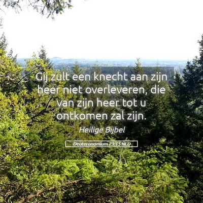 Picture 05 - Deuteronomium 23:15 NLD - Gij zult een knecht aan zijn heer niet - Bible Verse Picture