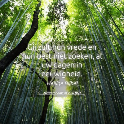Picture 05 - Deuteronomium 23:6 NLD - Gij zult hun vrede en hun best niet zoeken, al uw - Bible Verse Picture