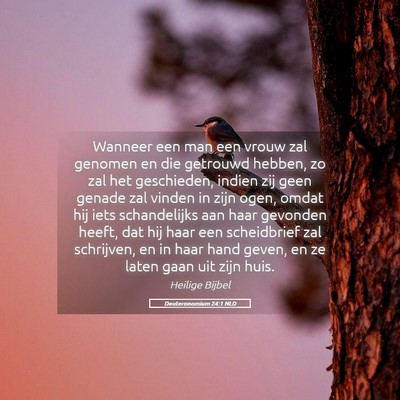 Picture 05 - Deuteronomium 24:1 NLD - Wanneer een man een vrouw zal genomen en die - Bible Verse Picture
