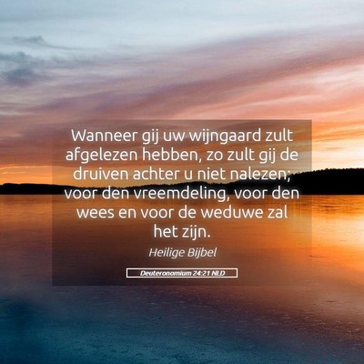 Picture 05 - Deuteronomium 24:21 NLD - Wanneer gij uw wijngaard zult afgelezen hebben, - Bible Verse Picture