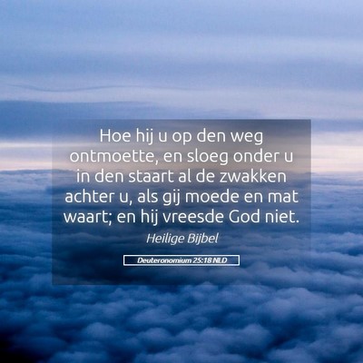 Picture 05 - Deuteronomium 25:18 NLD - Hoe hij u op den weg ontmoette, en sloeg onder u - Bible Verse Picture