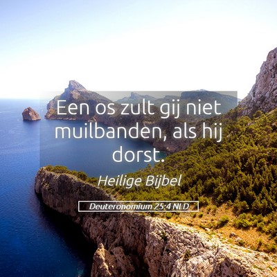 Picture 05 - Deuteronomium 25:4 NLD - Een os zult gij niet muilbanden, als hij - Bible Verse Picture