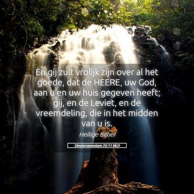 Picture 05 - Deuteronomium 26:11 NLD - En gij zult vrolijk zijn over al het goede, dat - Bible Verse Picture
