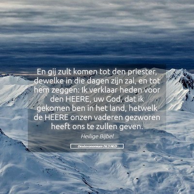 Picture 05 - Deuteronomium 26:3 NLD - En gij zult komen tot den priester, dewelke in - Bible Verse Picture