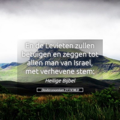 Picture 05 - Deuteronomium 27:14 NLD - En de Levieten zullen betuigen en zeggen tot - Bible Verse Picture