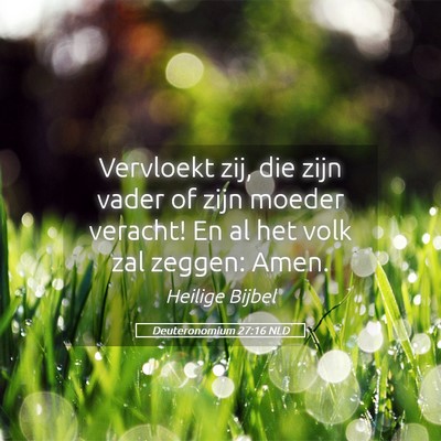 Picture 05 - Deuteronomium 27:16 NLD - Vervloekt zij, die zijn vader of zijn moeder - Bible Verse Picture
