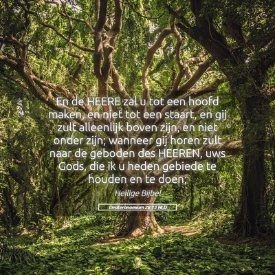 Picture 05 - Deuteronomium 28:13 NLD - En de HEERE zal u tot een hoofd maken, en niet - Bible Verse Picture