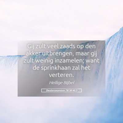 Picture 05 - Deuteronomium 28:38 NLD - Gij zult veel zaads op den akker uitbrengen, maar - Bible Verse Picture