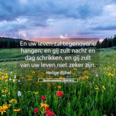 Picture 05 - Deuteronomium 28:66 NLD - En uw leven zal tegenover u hangen; en gij zult - Bible Verse Picture
