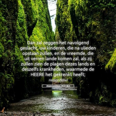 Picture 05 - Deuteronomium 29:22 NLD - Dan zal zeggen het navolgend geslacht, uw - Bible Verse Picture