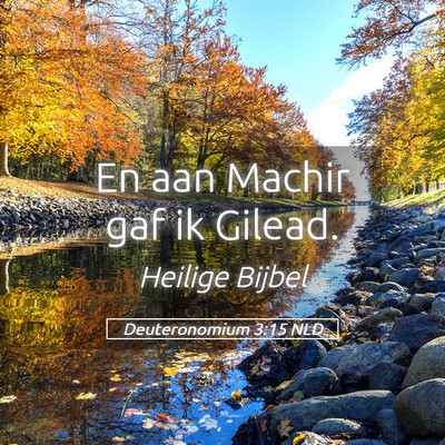 Picture 05 - Deuteronomium 3:15 NLD - En aan Machir gaf ik - Bible Verse Picture