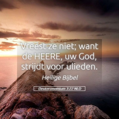 Picture 05 - Deuteronomium 3:22 NLD - Vreest ze niet; want de HEERE, uw God, strijdt - Bible Verse Picture