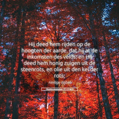 Picture 05 - Deuteronomium 32:13 NLD - Hij deed hem rijden op de hoogten der aarde, dat - Bible Verse Picture