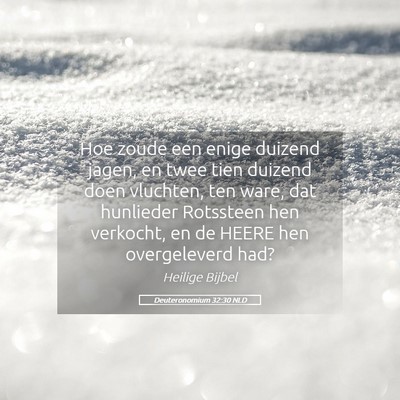 Picture 05 - Deuteronomium 32:30 NLD - Hoe zoude een enige duizend jagen, en twee tien - Bible Verse Picture