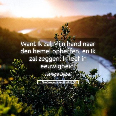 Picture 05 - Deuteronomium 32:40 NLD - Want Ik zal Mijn hand naar den hemel opheffen, en - Bible Verse Picture