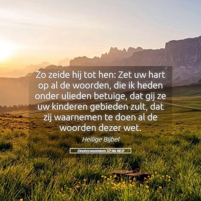 Picture 05 - Deuteronomium 32:46 NLD - Zo zeide hij tot hen: Zet uw hart op al de - Bible Verse Picture