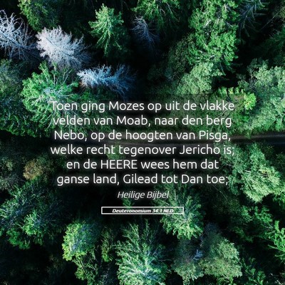 Picture 05 - Deuteronomium 34:1 NLD - Toen ging Mozes op uit de vlakke velden van Moab, - Bible Verse Picture