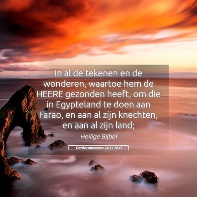 Picture 05 - Deuteronomium 34:11 NLD - In al de tekenen en de wonderen, waartoe hem de - Bible Verse Picture