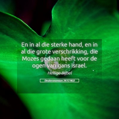 Picture 05 - Deuteronomium 34:12 NLD - En in al die sterke hand, en in al die grote - Bible Verse Picture