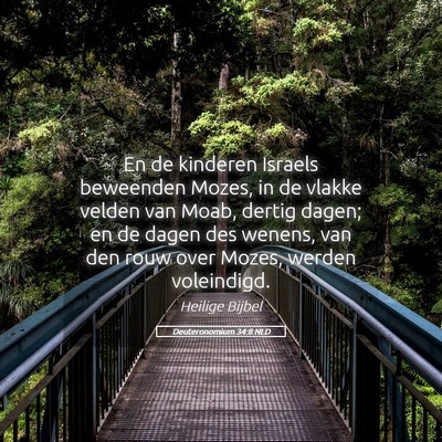 Picture 05 - Deuteronomium 34:8 NLD - En de kinderen Israels beweenden Mozes, in de - Bible Verse Picture