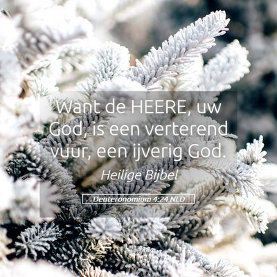 Picture 05 - Deuteronomium 4:24 NLD - Want de HEERE, uw God, is een verterend vuur, een - Bible Verse Picture