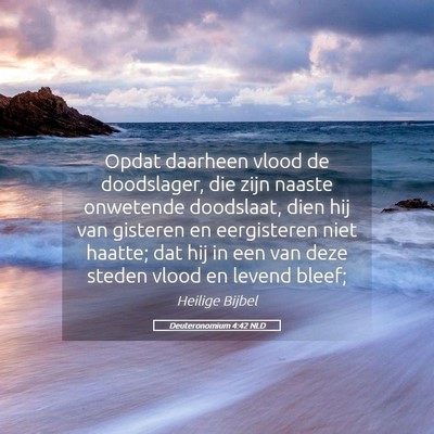 Picture 05 - Deuteronomium 4:42 NLD - Opdat daarheen vlood de doodslager, die zijn - Bible Verse Picture