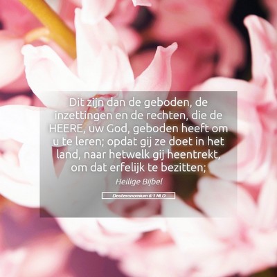 Picture 05 - Deuteronomium 6:1 NLD - Dit zijn dan de geboden, de inzettingen en de - Bible Verse Picture