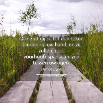 Picture 05 - Deuteronomium 6:8 NLD - Ook zult gij ze tot een teken binden op uw hand, - Bible Verse Picture