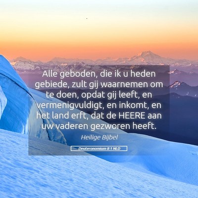 Picture 05 - Deuteronomium 8:1 NLD - Alle geboden, die ik u heden gebiede, zult gij - Bible Verse Picture