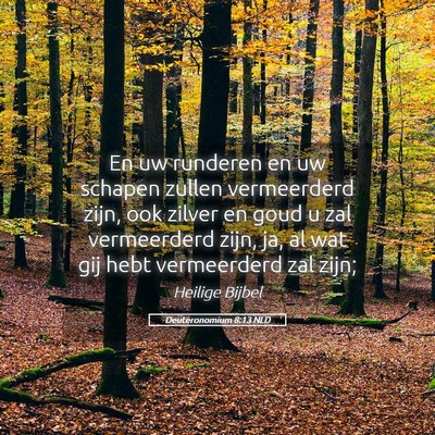Picture 05 - Deuteronomium 8:13 NLD - En uw runderen en uw schapen zullen vermeerderd - Bible Verse Picture