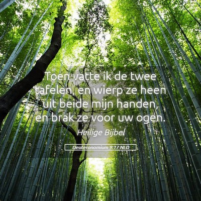 Picture 05 - Deuteronomium 9:17 NLD - Toen vatte ik de twee tafelen, en wierp ze heen - Bible Verse Picture