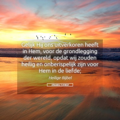 Picture 05 - Efeziërs 1:4 NLD - Gelijk Hij ons uitverkoren heeft in Hem, voor de - Bible Verse Picture