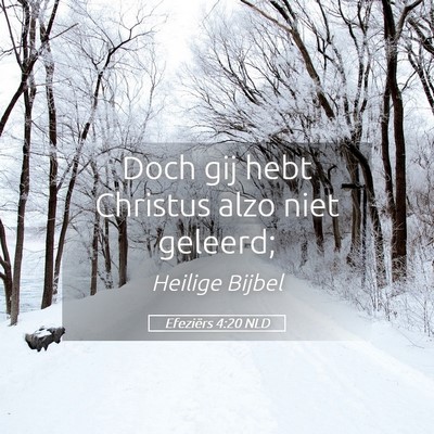 Picture 05 - Efeziërs 4:20 NLD - Doch gij hebt Christus alzo niet - Bible Verse Picture