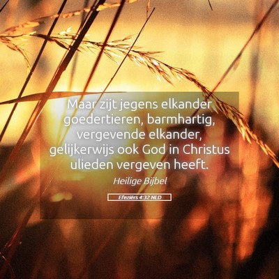 Picture 05 - Efeziërs 4:32 NLD - Maar zijt jegens elkander goedertieren, - Bible Verse Picture