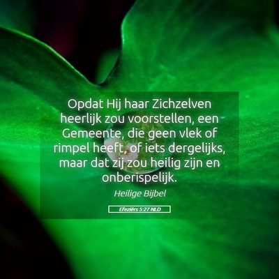 Picture 05 - Efeziërs 5:27 NLD - Opdat Hij haar Zichzelven heerlijk zou - Bible Verse Picture