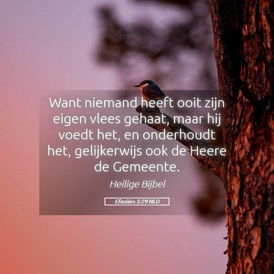 Picture 05 - Efeziërs 5:29 NLD - Want niemand heeft ooit zijn eigen vlees gehaat, - Bible Verse Picture