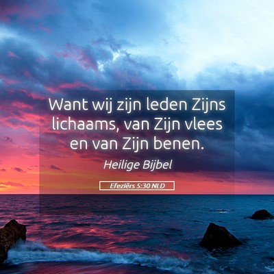 Picture 05 - Efeziërs 5:30 NLD - Want wij zijn leden Zijns lichaams, van Zijn - Bible Verse Picture