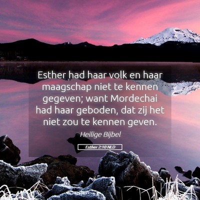 Picture 05 - Esther 2:10 NLD - Esther had haar volk en haar maagschap niet te - Bible Verse Picture