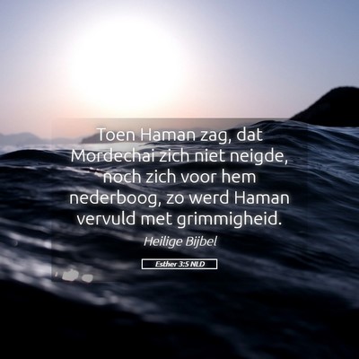Picture 05 - Esther 3:5 NLD - Toen Haman zag, dat Mordechai zich niet neigde, - Bible Verse Picture