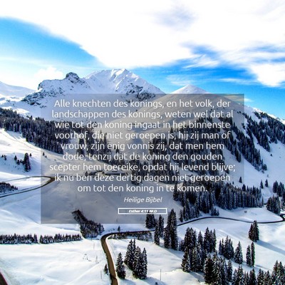 Picture 05 - Esther 4:11 NLD - Alle knechten des konings, en het volk, der - Bible Verse Picture