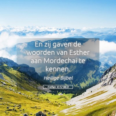 Picture 05 - Esther 4:12 NLD - En zij gaven de woorden van Esther aan Mordechai - Bible Verse Picture