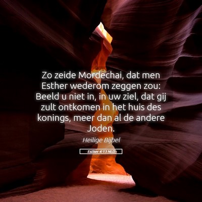 Picture 05 - Esther 4:13 NLD - Zo zeide Mordechai, dat men Esther wederom zeggen - Bible Verse Picture