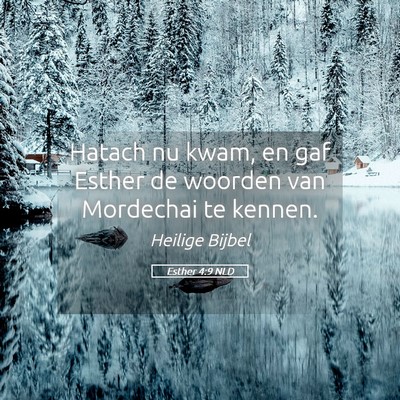 Picture 05 - Esther 4:9 NLD - Hatach nu kwam, en gaf Esther de woorden van - Bible Verse Picture