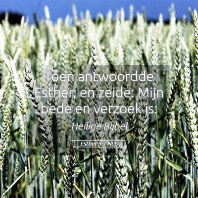Picture 05 - Esther 5:7 NLD - Toen antwoordde Esther, en zeide: Mijn bede en - Bible Verse Picture