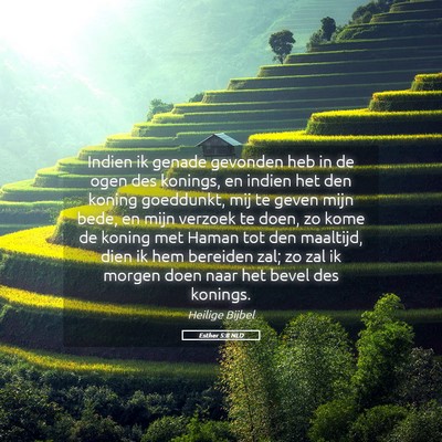 Picture 05 - Esther 5:8 NLD - Indien ik genade gevonden heb in de ogen des - Bible Verse Picture