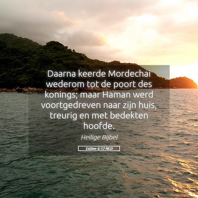 Picture 05 - Esther 6:12 NLD - Daarna keerde Mordechai wederom tot de poort des - Bible Verse Picture